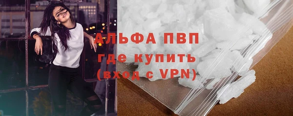 стафф Покачи