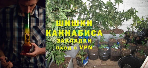 ГАЛЛЮЦИНОГЕННЫЕ ГРИБЫ Арсеньев