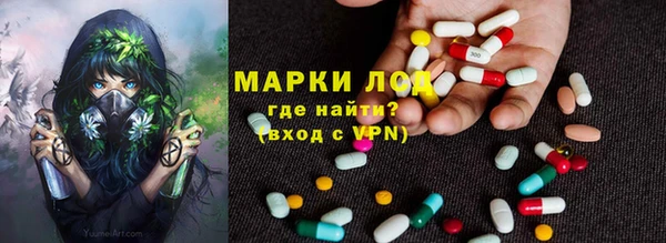 ГАЛЛЮЦИНОГЕННЫЕ ГРИБЫ Арсеньев