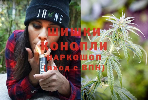 ГАЛЛЮЦИНОГЕННЫЕ ГРИБЫ Арсеньев